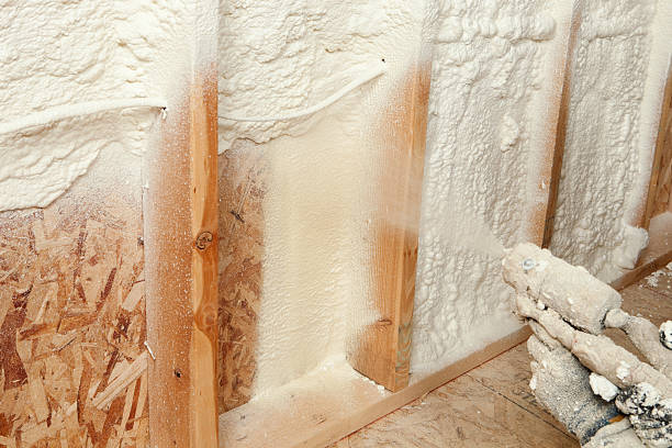 Best Spray Foam Insulation  in USA